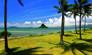 廣州到夏威夷國(guó)際物流-鑫漢物流